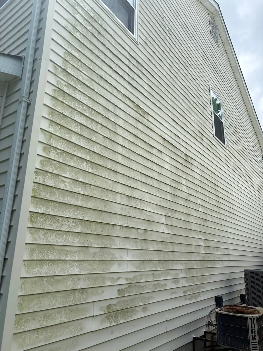 Soft wash · algae removal — before, Kirkwood · 63122